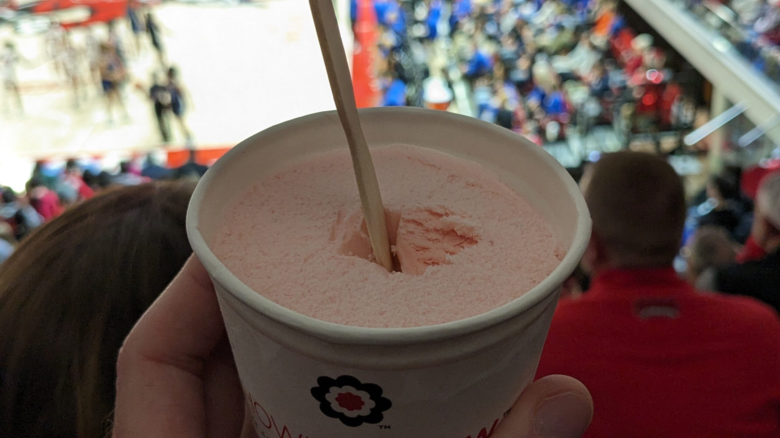 #2 Strawberry Ice Cream at Reynolds Coliseum