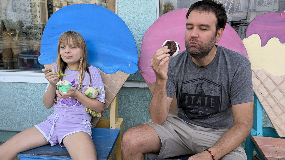 #24 Ice Cream Sandwich from Celtic Creamery